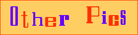 Physci Banner